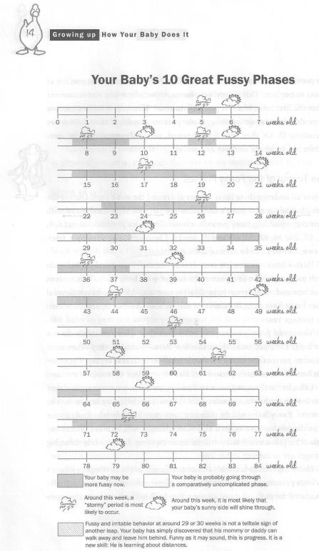 The wonder weeks page 14 cropée